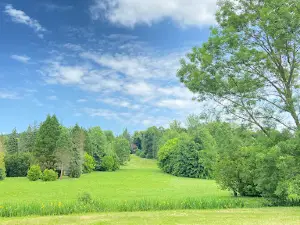 Budafapuszta arboretum