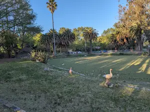 Zoo San Jose