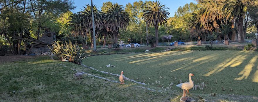 Zoo San Jose