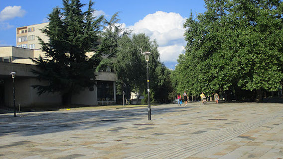 House Of Culture Arsenal