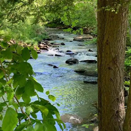 Yellow Creek Campground