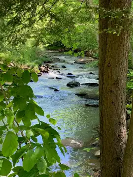 Yellow Creek Campground