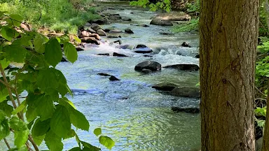 Yellow Creek Campground