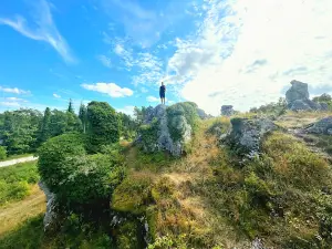 Grausne Norra Raukområde