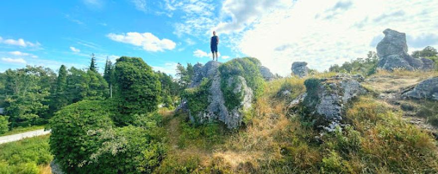 Grausne Norra Raukområde