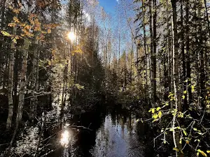 Tampinkierros Circle Trail