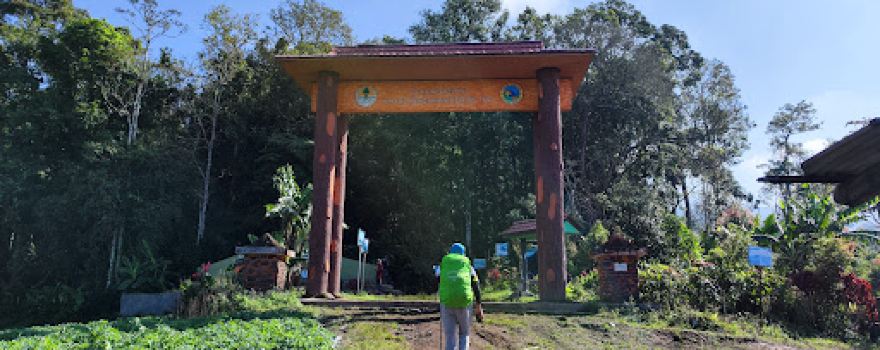 Pintu Rimba Kerinci