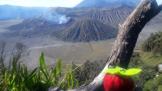Masjid BSI Penanjakan Bromo