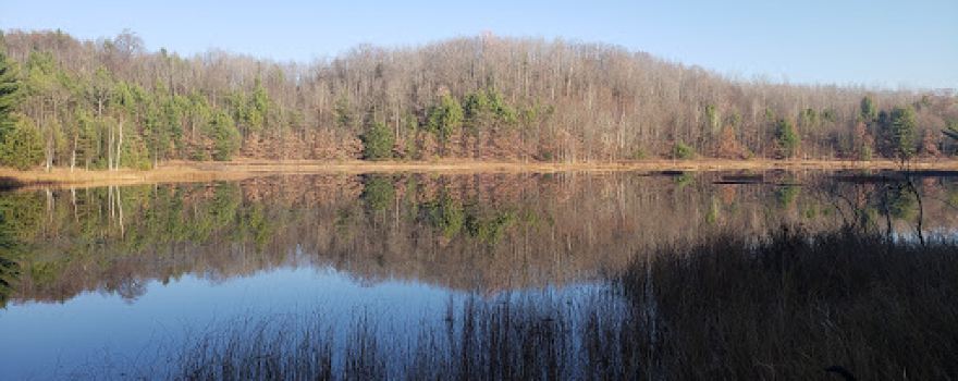 Long Lake (Missaukee) State Forest Campground
