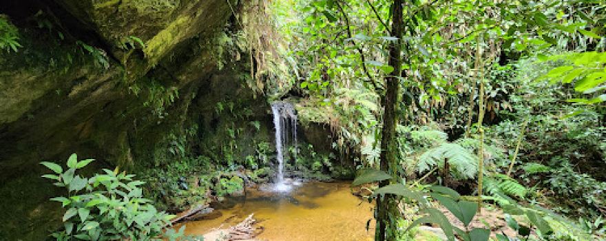 Reserva ProAves Arrierito Antioqueño