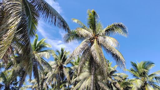 Villa Gracia Beach
