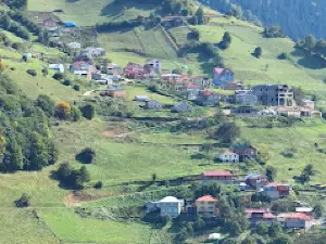 Ters Ev Trabzon