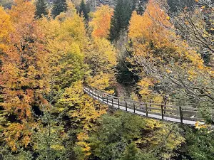 Wooden Bridge