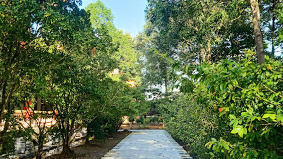 Memorial Nguyen Thi Dinh