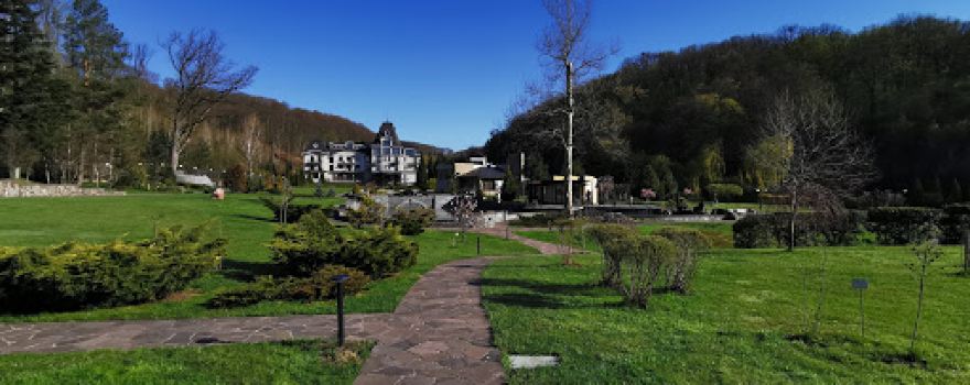 Dendropark, Sk Derenivsʹka Kupilʹ