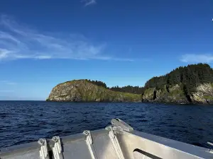 Kodiak Scenic Tours