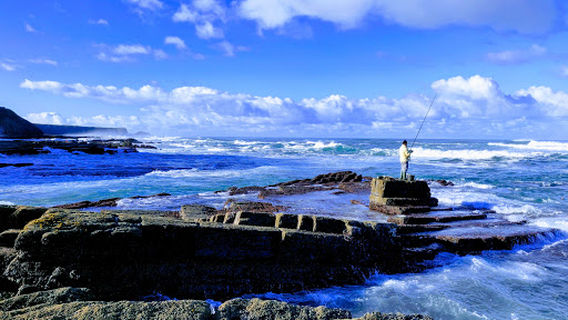Rock&Reel Fishing Adventures