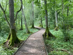Rozalimo miško parkas