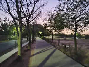 Stadium Park