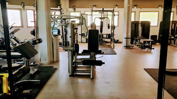 BFit dganit's