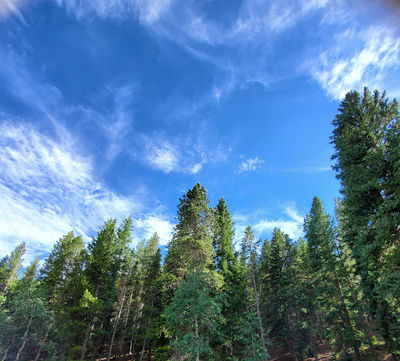 Deer Creek Campground