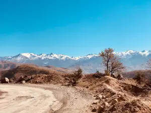 Togʻ manzarasi