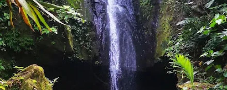 Fuentes del Pacaya