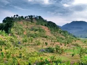 Wisata Bukit Tono