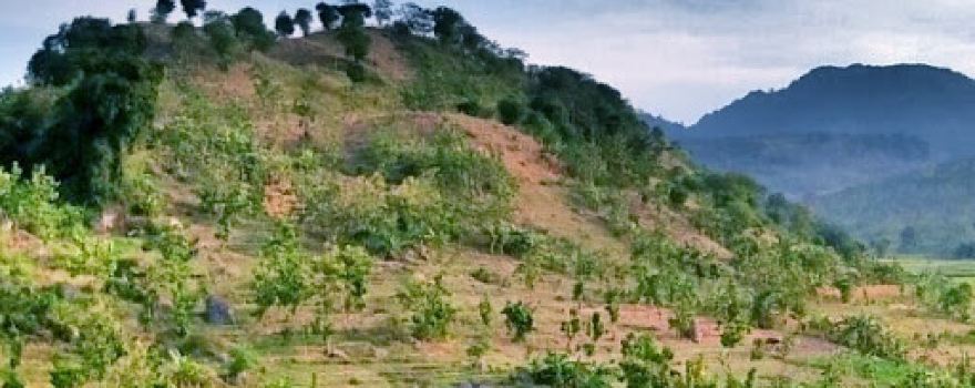 Wisata Bukit Tono