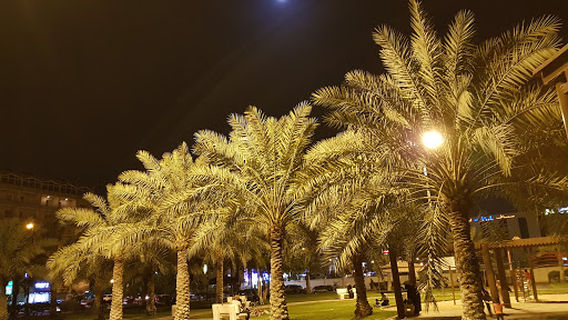 Prince Abdullah bin Jalawi Park