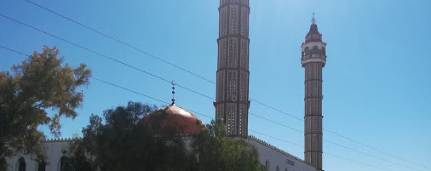 Abd elhamid ben badis
