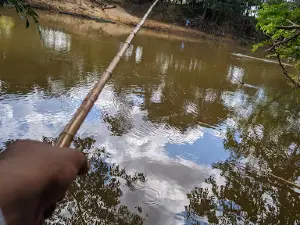 Bosque Beira Rio