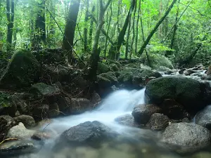 Ton Phrae Thong Waterfall