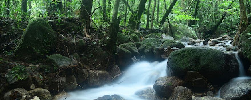 Ton Phrae Thong Waterfall