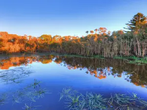 Woodside Beach Caravan Park