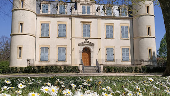 Feyzin