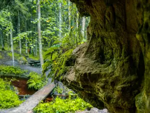 Liepniekvalka cave - Peldanga labirynth