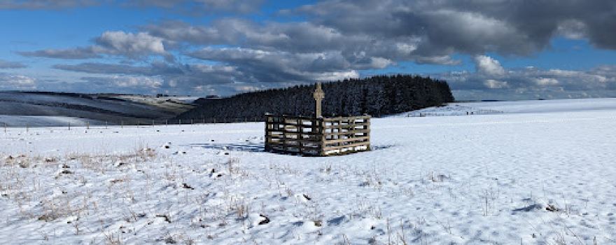 Cantlin Stone and Botfield Cross