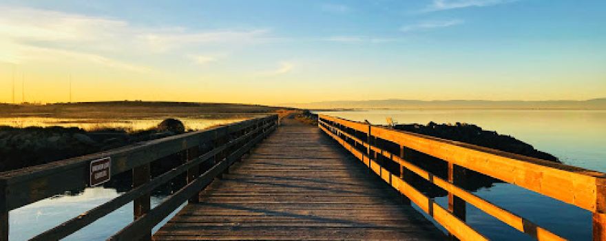 Hayward Regional Shoreline