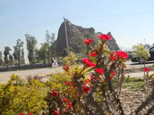 Hill Park Sangla