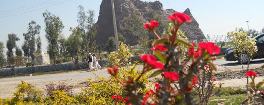 Hill Park Sangla