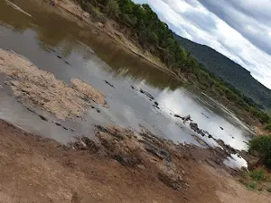 Kichwa Tembo Wildebeest Crossing Point