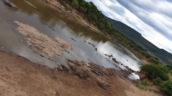 Kichwa Tembo Wildebeest Crossing Point