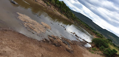 Kichwa Tembo Wildebeest Crossing Point