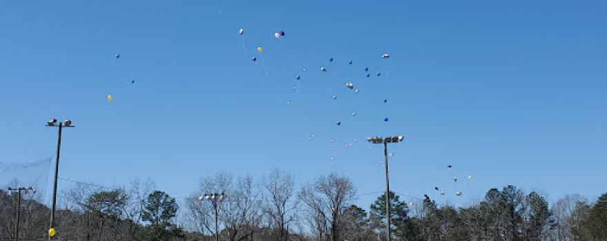 ALLISON BONNETT PARK
