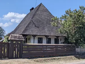 Zamisʹkyy Budynok Vyshkovo