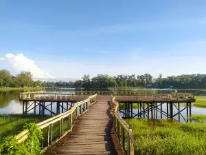 Royal Lake Amusement Park