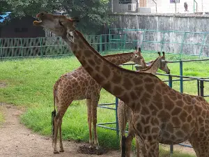 Bangladesh National Zoo