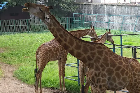 Bangladesh National Zoo
