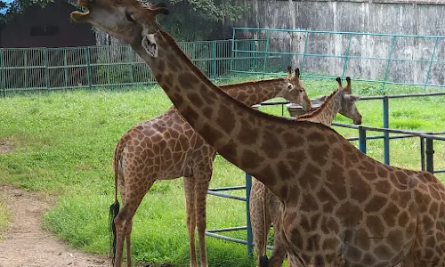 Bangladesh National Zoo